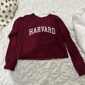 Harvard sweatshirt